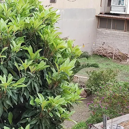 L'appartamentino Reggio di Calabria